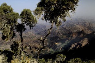 View of the hilly and green landscape of the Semien Mountains, Semien Mountain National Park,