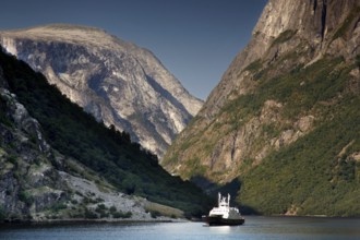 Ferry sails through the impressive Nærøyfjord near Gudvangen under steep mountain faces, Gudvangen,