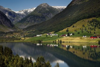 View of Fjærlandsfjord with surrounding mountains and green hills, Fjærlandsfjord, null, Norway