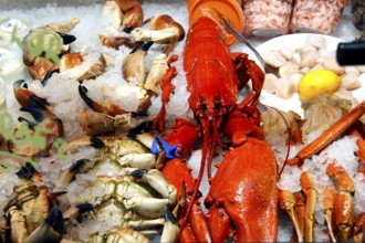 Lively scene of a fish market with seafood presented on ice, Bergen, Norway