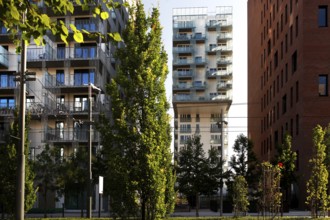 Modern new buildings between trees in Oslo, urban ambiance under clear skies, Oslo, Bydel Gamle