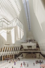 Oculus building, World Trade Center Transportation Hub, New York, USA