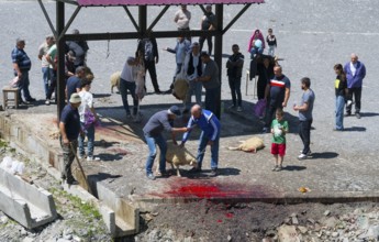 Men are visible at a sheep slaughter event, traces of blood, rural square, slaughter of sheep,