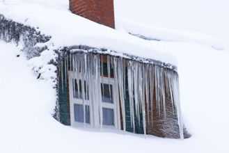 Icicles on a snow-covered thatched roof in front of a window during snow flurries in winter,