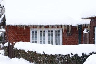 Icicles on an old thatched house covered with snow during snow flurries in winter,