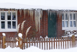 Icicles on a decrative old thatched house covered with snow in snow flurries in winter,
