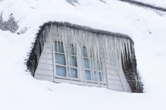 Icicles on a thatched roof covered with snow in front of a window in winter, Schleswig-Holstein,