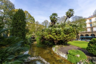 Gipuzkoa square park showcasing lush palm trees and green foliage surrounding a winding pond, with