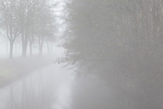 South-North Canal in fog, Emsland, Lower Saxony, Germany