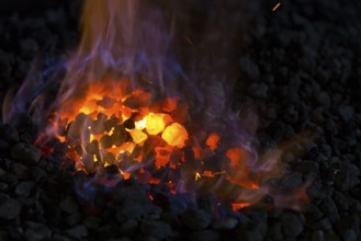 A blacksmith forging, working at the Ehnert forge in Dresden-Bühlau, Saxony, Germany