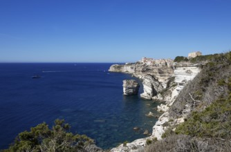 Ville haute or upper town on the Île de Fazio headland, medieval old town, Bonifacio, Corse-du-Sud