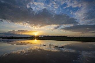 Evening sky is reflected in high water in Ochsenmoor am Dümmer, Ochsenmoor, Hüde, Lower Saxony,