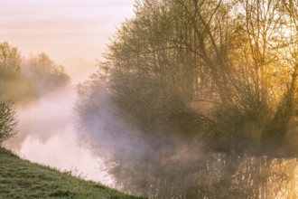 River Lohne at sunrise with fog, Dümmer, Lembruch, Lower Saxony, Germany