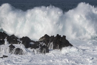 Waves on the ocean off Madeira, Porto Moniz, Madeira, Portugal