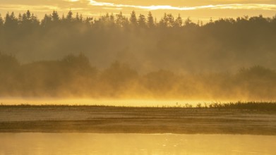 Sunrise with fog on a lake at the Ahlhoner fish ponds, Ahlhorn, Lower Saxony, Germany