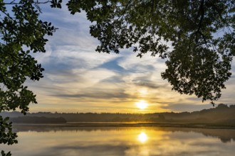 Ahlhonrer fishing pond with fog at daybreak, fog, sunrise, Ahlhorn, Lower Saxony, Germany