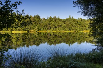 Diana See in the Ahlhorner Fischteiche Nature Reserve, Wildeshausener Geest, Ahlhorn, Lower Saxony,