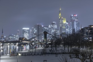 Snowfalls and freezing temperatures have transformed the banks of the Main and Frankfurt banking