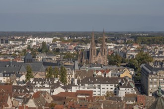 The stone balcony offers a view of the city of Strasbourg. Houses and buildings can be seen under a