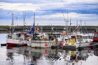 Fishing boats Fishing vessels are moored in Berlevag harbour in the north of the Varanger Peninsula
