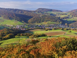 View from the Gisliflue of an autumnal forest with the Jura foothills behind, Talheim, Canton,