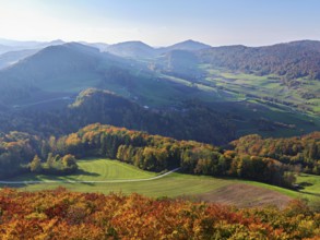 View of an autumnal forest from the Gisliflue, behind the Jurassic foothills with the Wasserfluh,