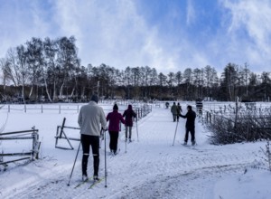 Athletes in winter in the midst of fields and fields in Berlin Lübars, Reinickendorf District,