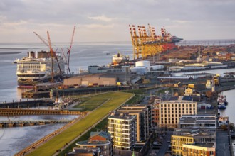 Disney Adventure cruise ship at Bremerhaven Cruise Port, MSC and Eurogate container terminal at