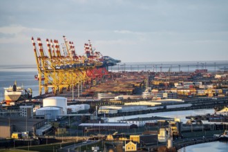 MSC and Eurogate container terminal in the seaport of Bremerhaven, Eurogate container terminal with