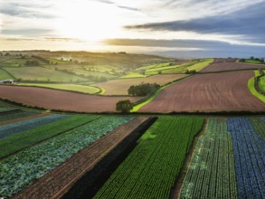 Colours of autumn Fields and Farms over Sheldon from a drone, Torbay, Devon, England, United