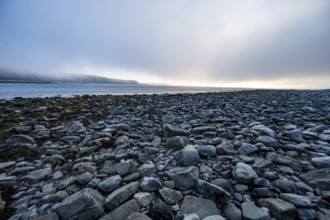 A peaceful beach at sunset with rocks and calm sea under a slightly cloudy sky, Båtsfjord,
