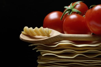 Lasagna, lasagna leaves and cooking spoon with fusilli noodle, noodle nest pasta type