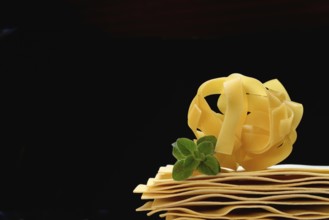 Uncooked lasagna leaves and fettuccine, noodle nest