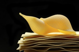 Uncooked lasagna leaves and mussel noodles, conchiglione