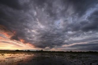 Dramatic sunset over flooded wetlands with wind turbines in the background and bright shades of