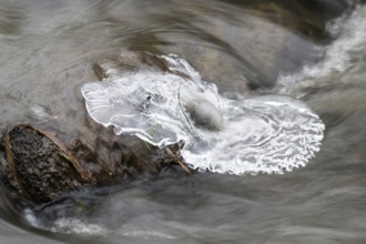 Natural ice sculptures on a stream, Emsland, Lower Saxony, Germany