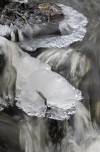 Natural ice sculptures on a stream, Emsland, Lower Saxony, Germany