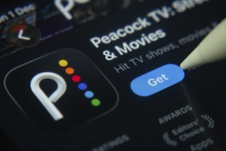 Dhaka, Bangladesh- 01 Dec 2025: A close-up of the Peacock TV app icon in the App Store on an iPad