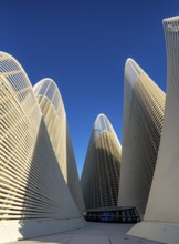 Zayed National Museum in Abu Dhabi, memorial to the late Zayed bin Sultan Al Nahyan, the museum is