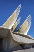 Zayed National Museum in Abu Dhabi, memorial to the late Zayed bin Sultan Al Nahyan, the museum is