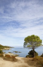 Desert des Agriates or Agriates desert on the Gulf of Saint-Florent in the Mediterranean,