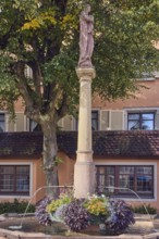 Crown fountain, sweet potato (Ipomoea batatas), fountain, tree, facade with windows, sunny,