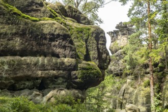 Mühlsteinbrüche hiking area near Jonsdorf in the Zittau Mountains, Upper Lusatia, Saxony, Germany