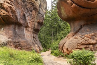 Kelchsteine natural monument near Oybin, Zittau Mountains, Upper Lusatia, Saxony, Germany