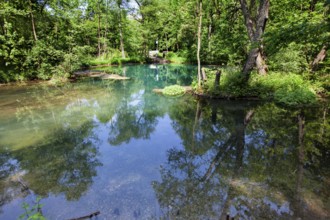 The Rhume Spring with blue-green colouration, source of River Rhume, large karst spring, Harz
