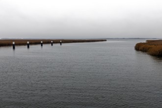 Lagoon area at the Meinigenbrücke near Zingst, Fischland-Darß-Zingst, Western Pomerania Lagoon Area