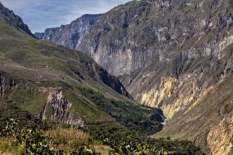 Deep gorge with dramatic cliffs and sparse vegetation, The landscape of Colca Canyon in the Aden of