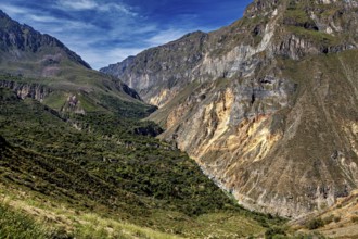 Fascinating gorge landscape with lush vegetation and mountains, The landscape of Colca Canyon in