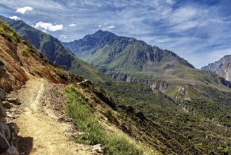 Hiking trail along a mountain under sunny sky, The landscape of Colca Canyon in the Aden of Peru