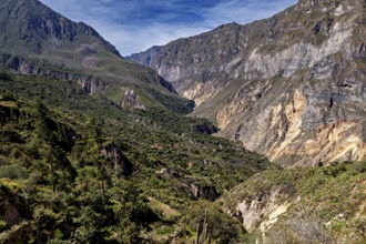 Sublime rock walls and green valleys under a clear blue sky, the landscape of the Colca Canyon in